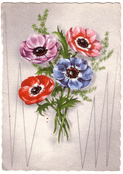 Bouquet d'an&eacute;mones pour c&eacute;l&eacute;brer mamie